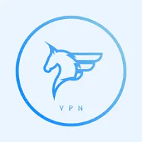 飞马加速器官网打不开怎么办